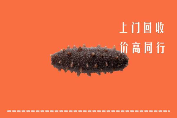禅城区回收海参