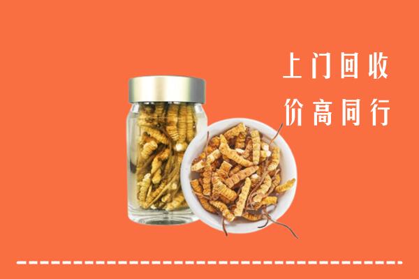 禅城区回收冬虫夏草